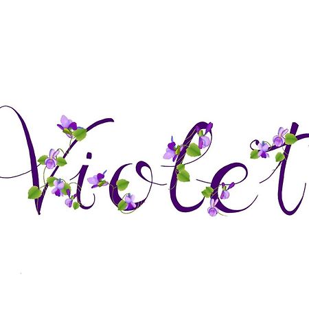 Appartamento Violet - Parma Exterior foto